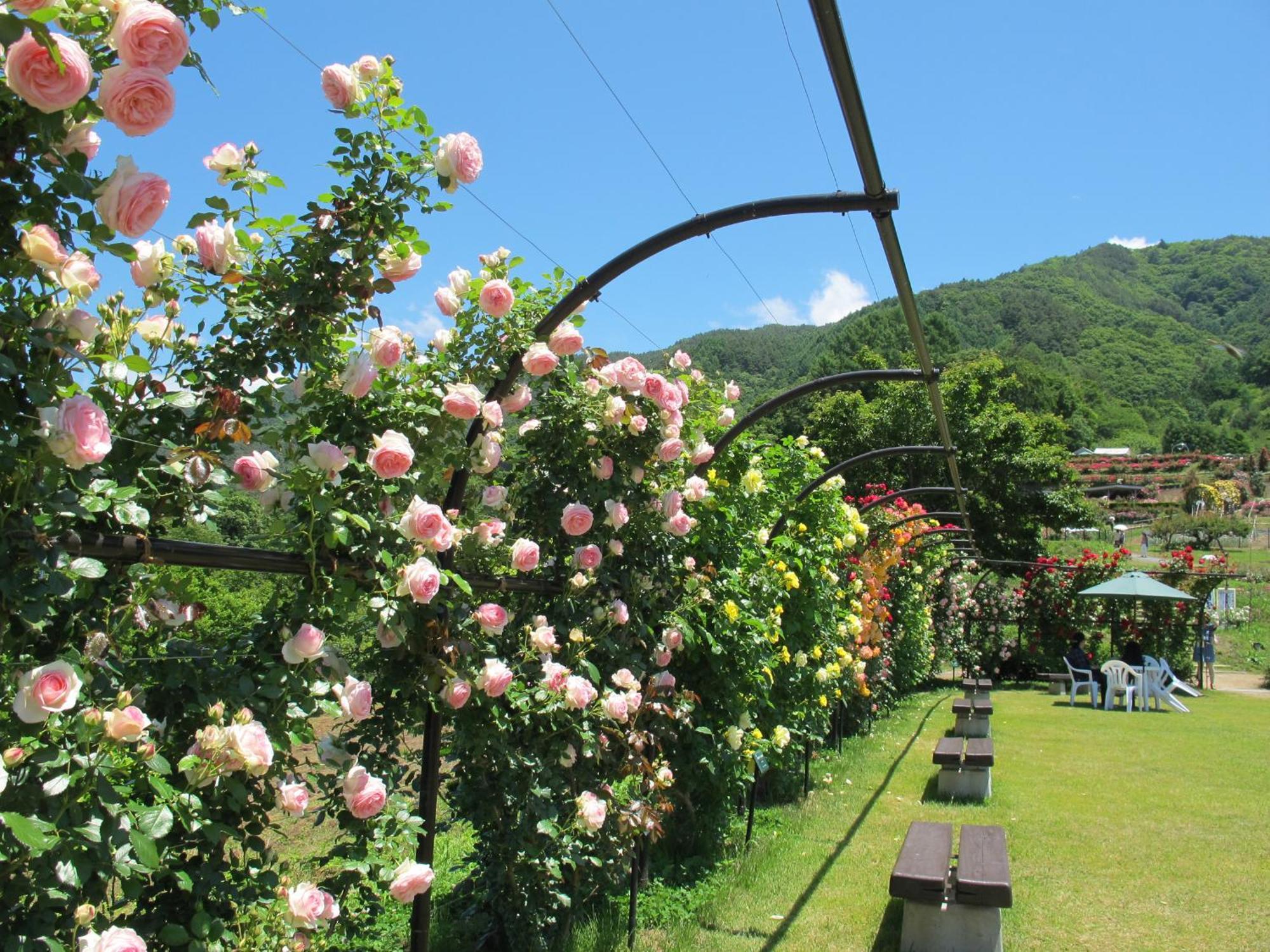 Yoshinotei Hotel Iida Exterior photo